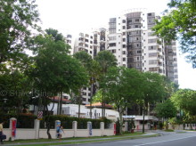 The Mayfair (D22), Condominium #971932